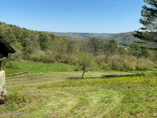 $125,000 | 40 County Highway 40, Charlotteville, NY 12036