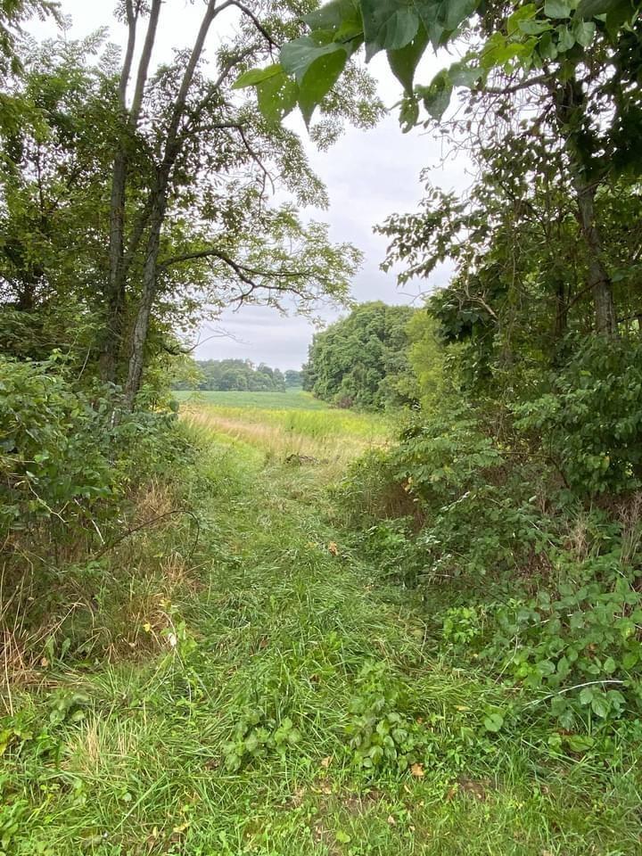 Harrodsburg Road Springville, IN 47462 - Photo 11 of 19 Gallery Image 11