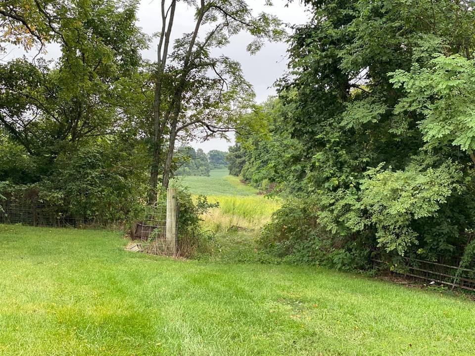 Harrodsburg Road Springville, IN 47462 - Photo 13 of 19 Gallery Image 13