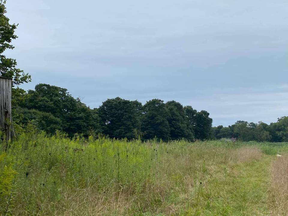 Harrodsburg Road Springville, IN 47462 - Photo 16 of 19 Gallery Image 16