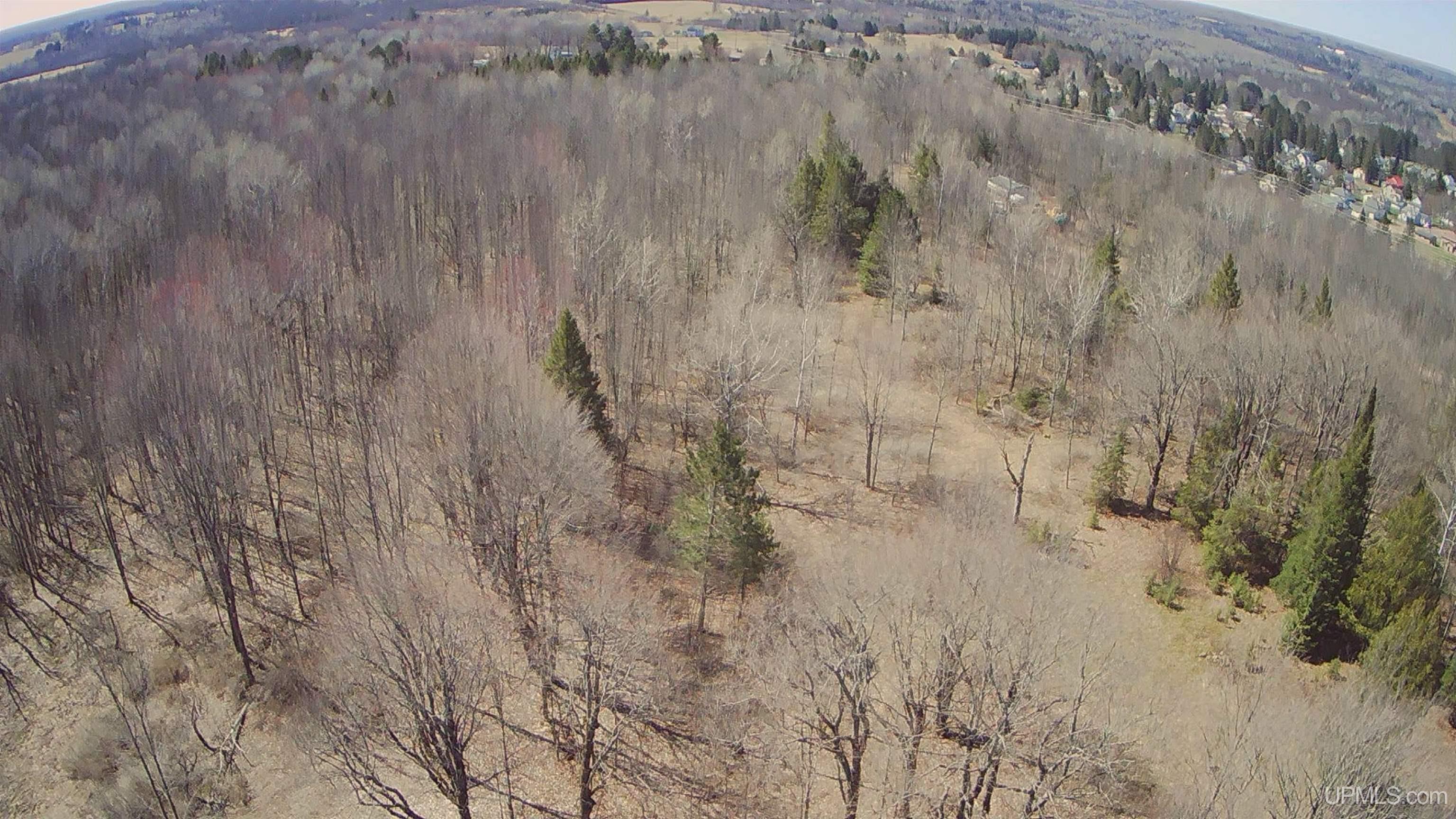 Tbd Tbd Burma Parcel A Road Bessemer, MI 49911 - Photo 7 of 8