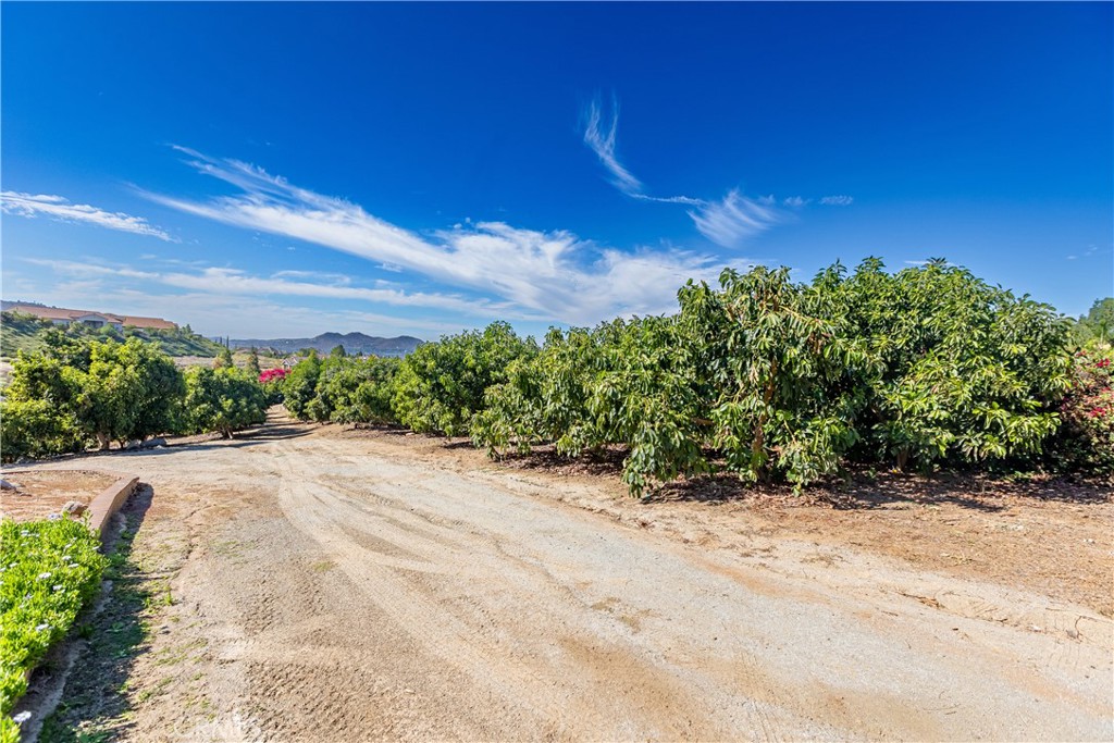 10851 Orchard View Lane Riverside, CA 92503 - Photo 67 of 75