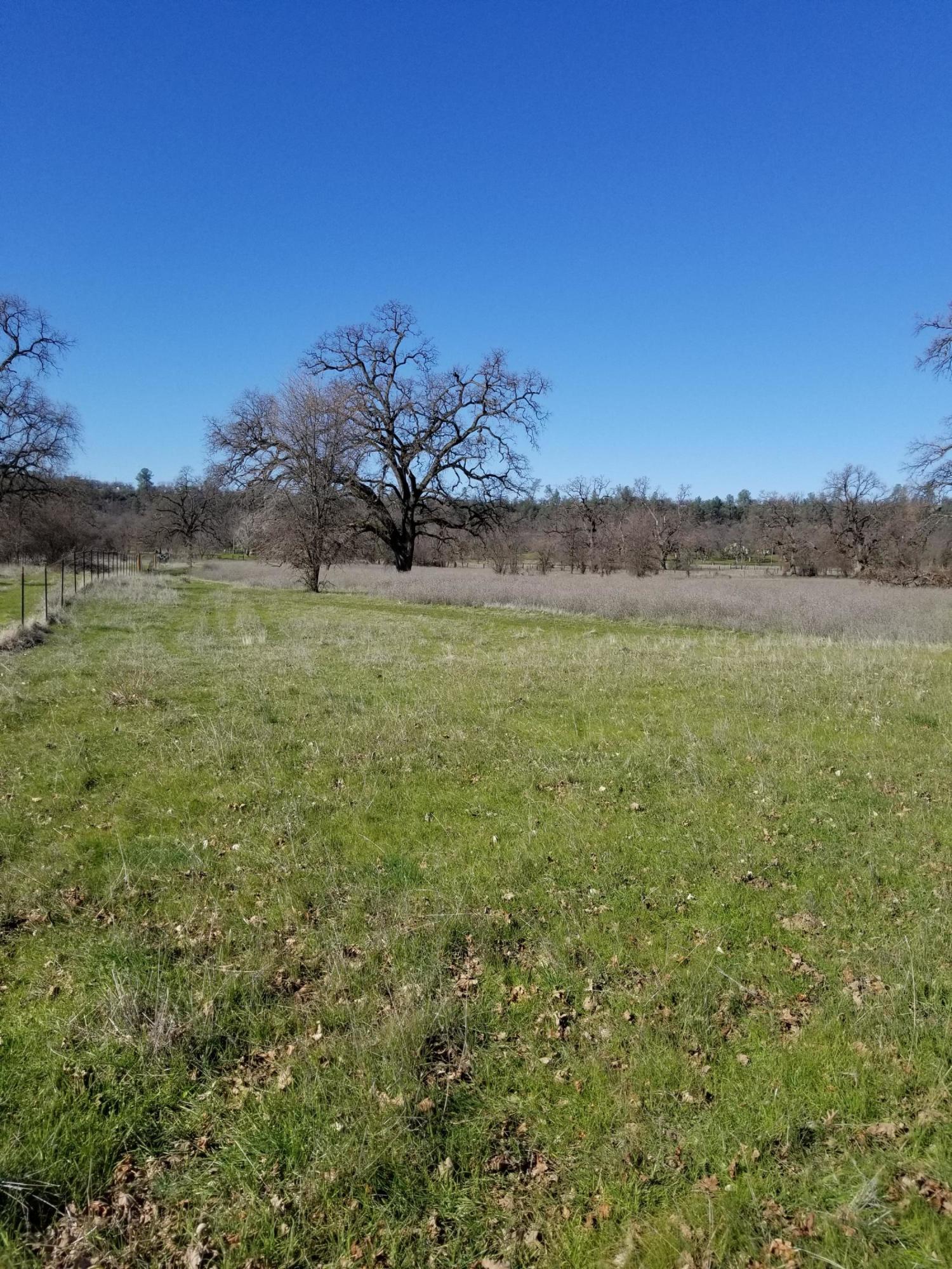8.83 Acres Oak Run Road Oak Run, CA 96069 - Photo 11 of 19 20200218_111616