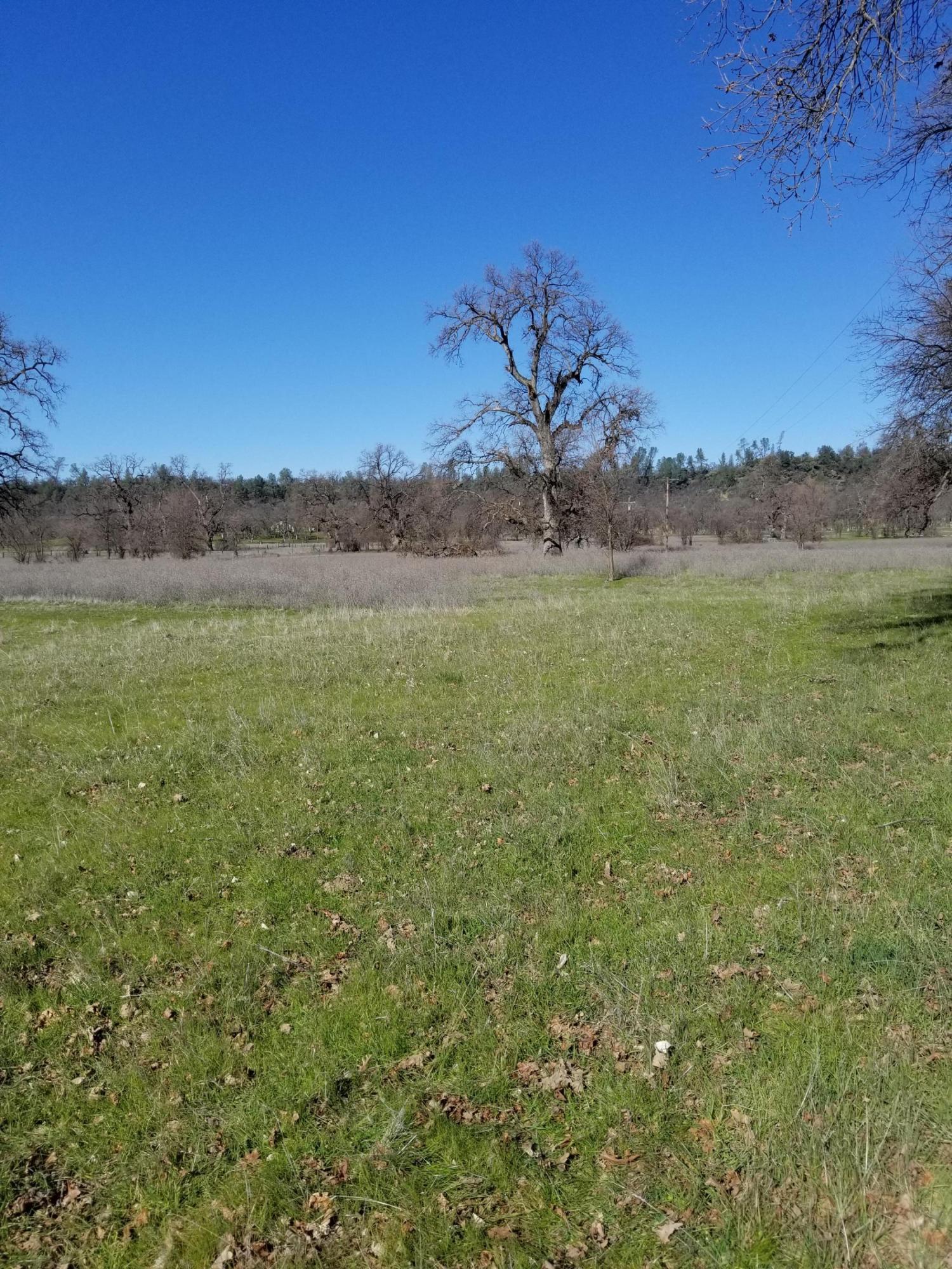8.83 Acres Oak Run Road Oak Run, CA 96069 - Photo 12 of 19 20200218_111618