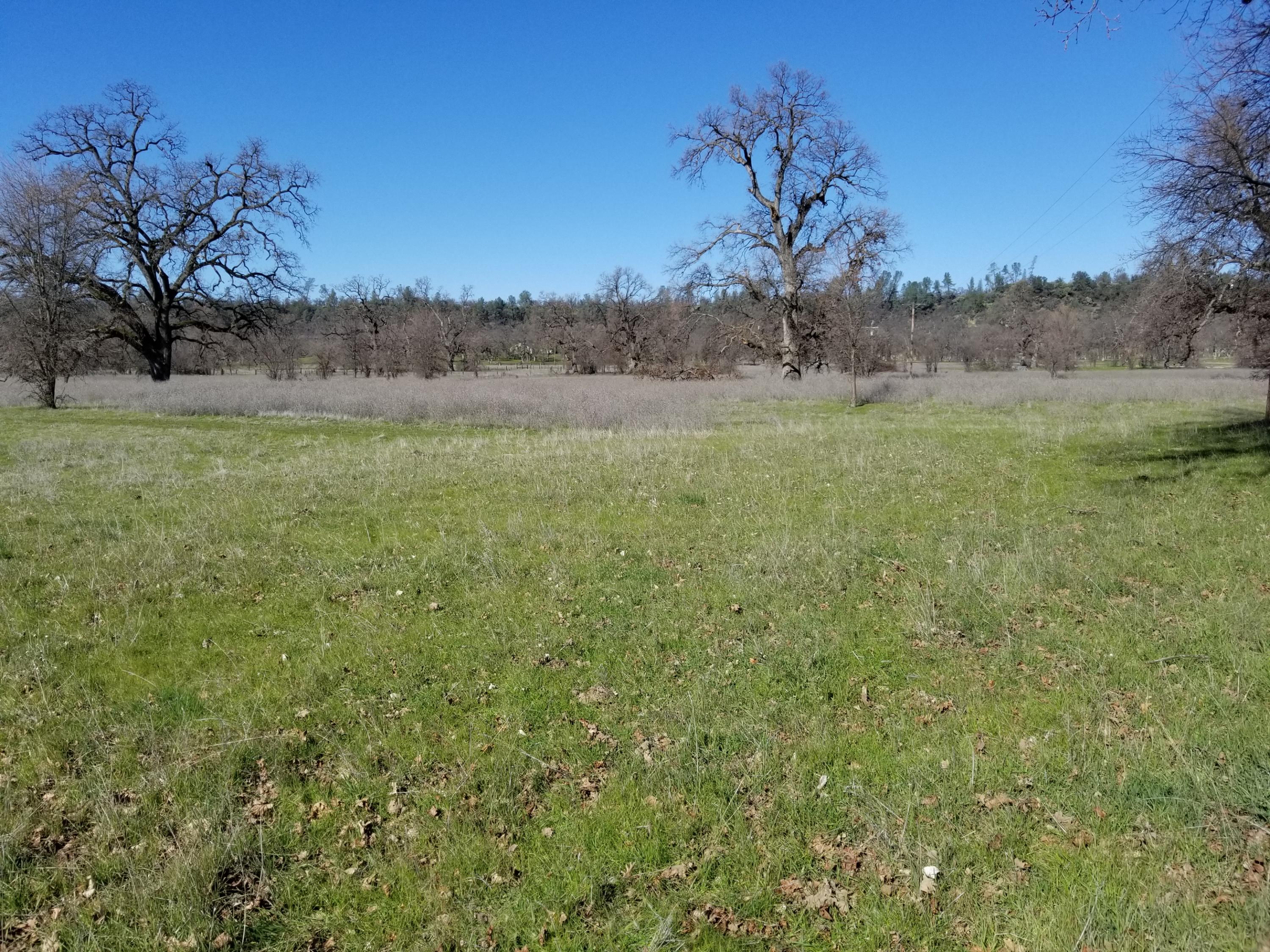 8.83 Acres Oak Run Road Oak Run, CA 96069 - Photo 13 of 19 20200218_111621