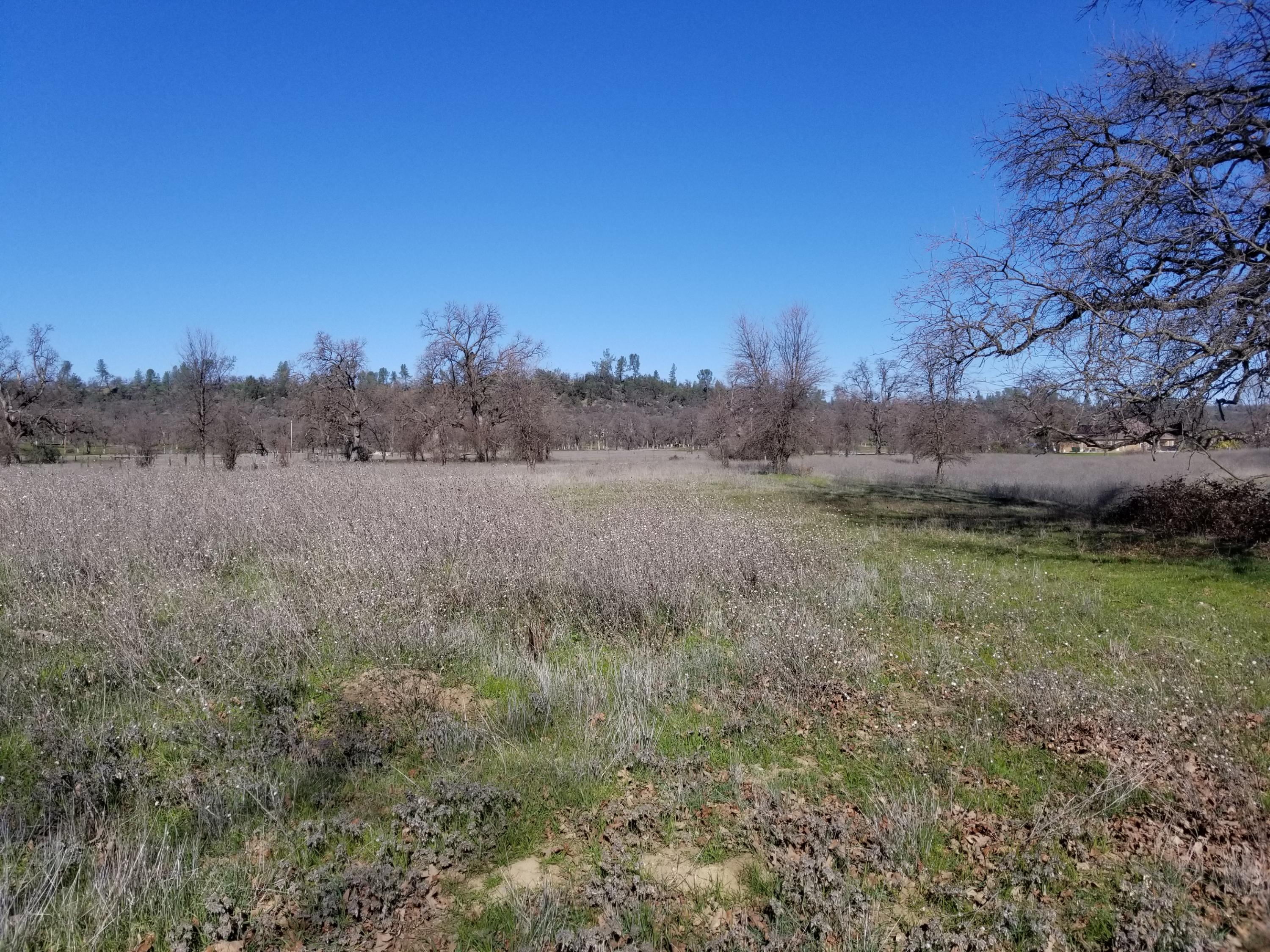 8.83 Acres Oak Run Road Oak Run, CA 96069 - Photo 15 of 19 20200218_111824