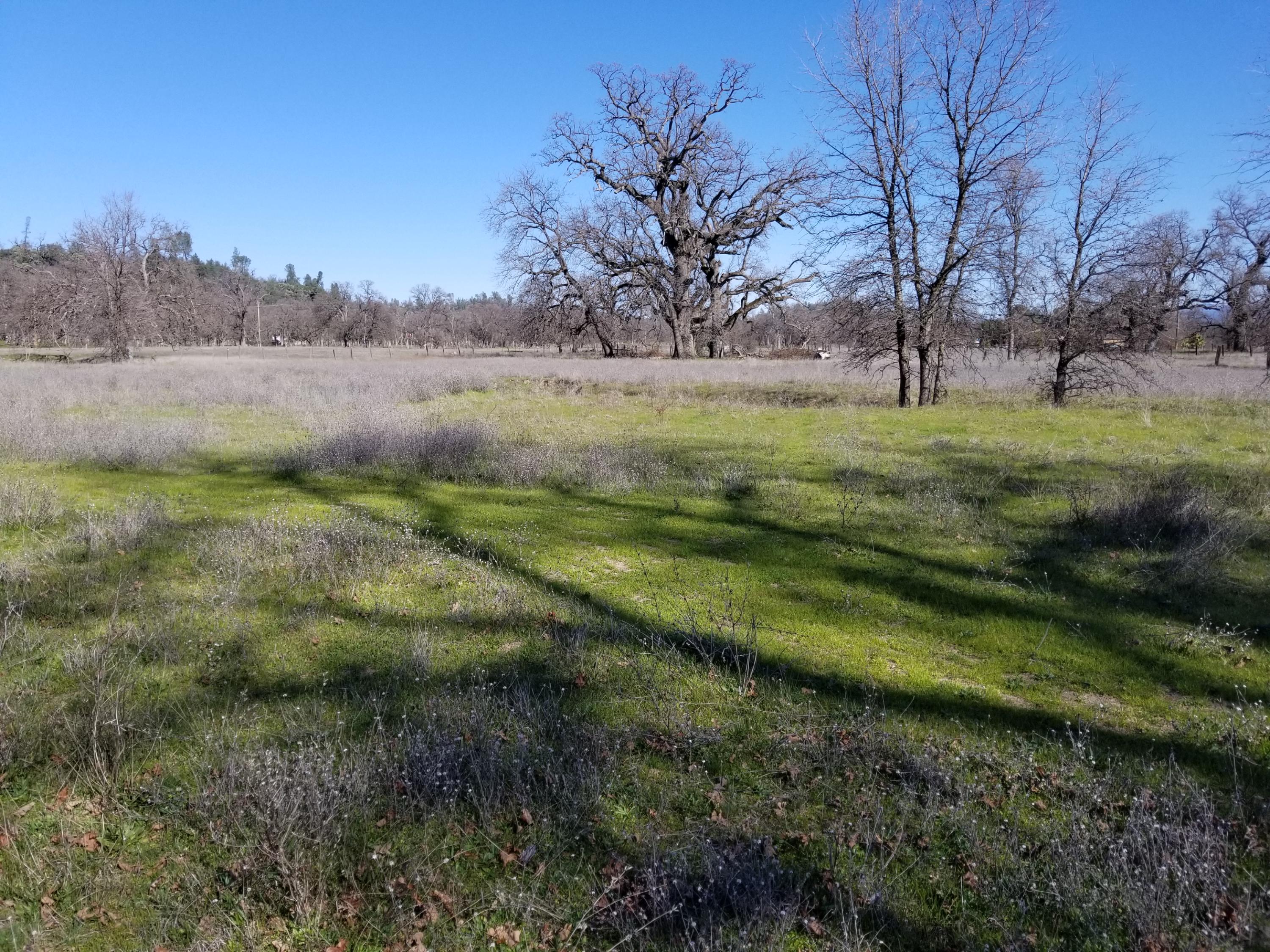 8.83 Acres Oak Run Road Oak Run, CA 96069 - Photo 16 of 19 20200218_113251