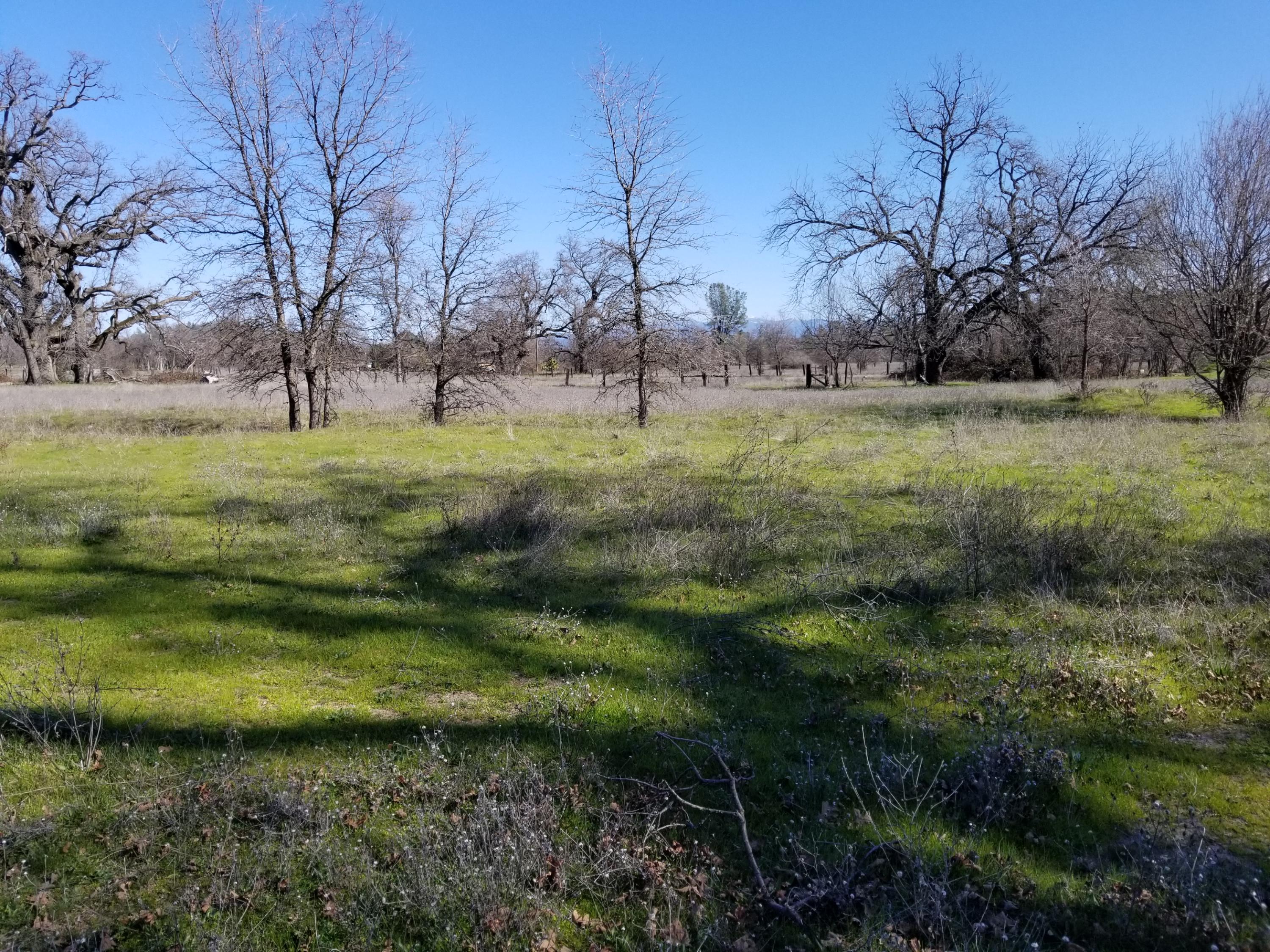8.83 Acres Oak Run Road Oak Run, CA 96069 - Photo 17 of 19 20200218_113254