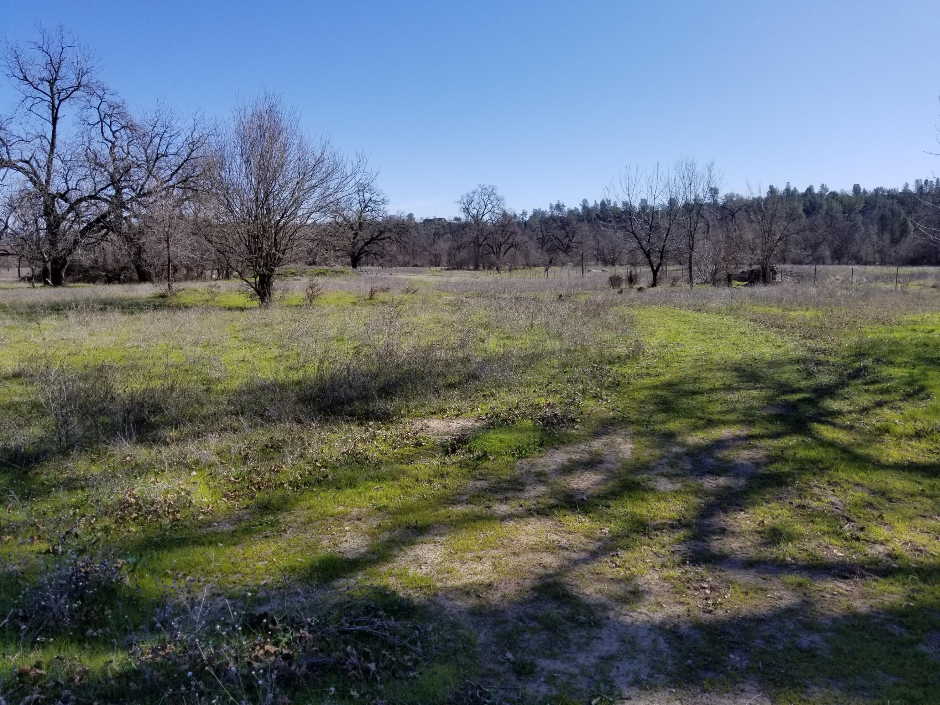 8.83 Acres Oak Run Road Oak Run, CA 96069 - Photo 18 of 19 20200218_113256