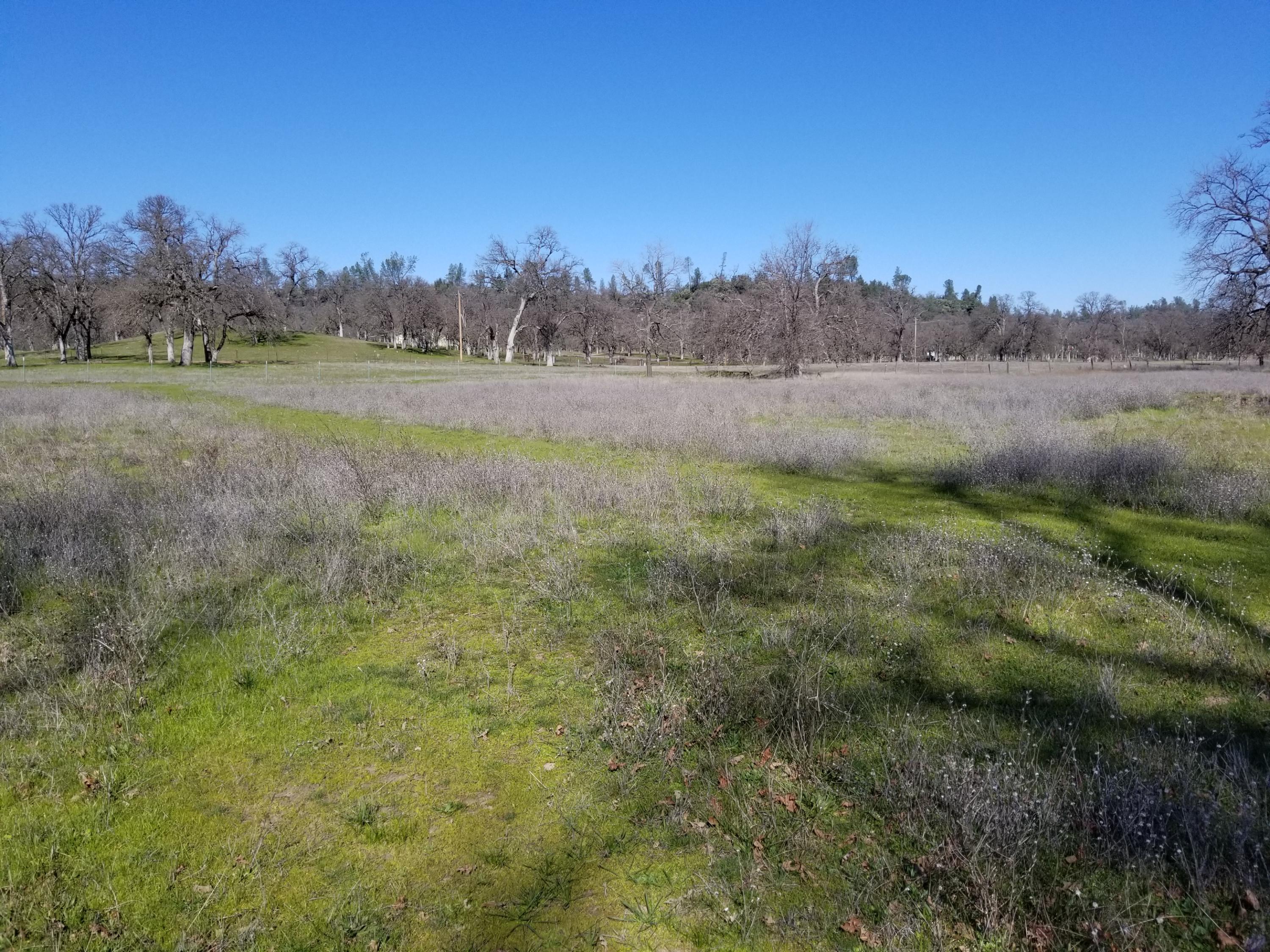 8.83 Acres Oak Run Road Oak Run, CA 96069 - Photo 19 of 19 20200218_113259