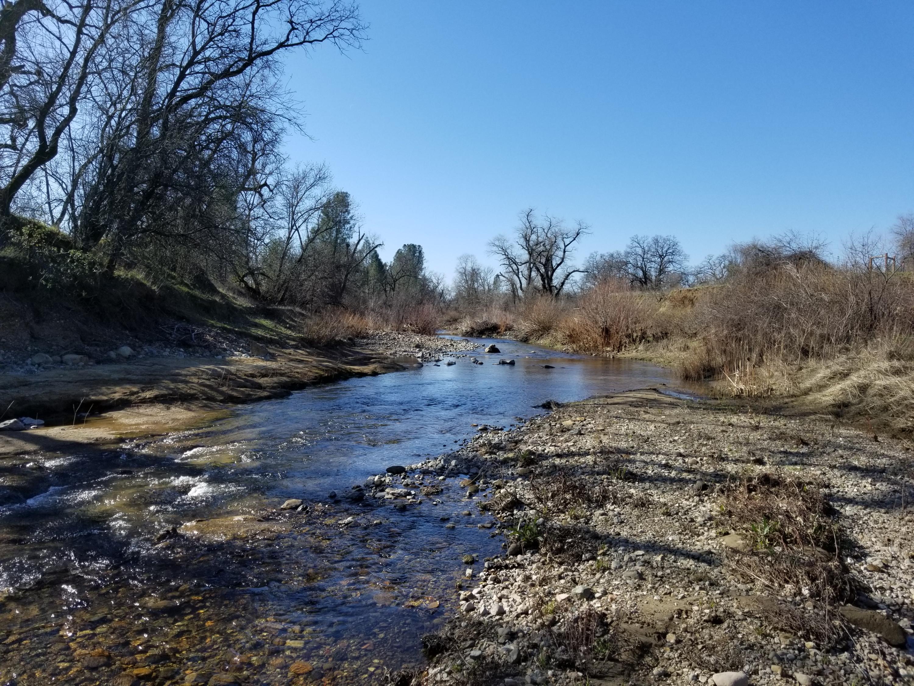 8.83 Acres Oak Run Road Oak Run, CA 96069 - Photo 5 of 19 20200218_111105