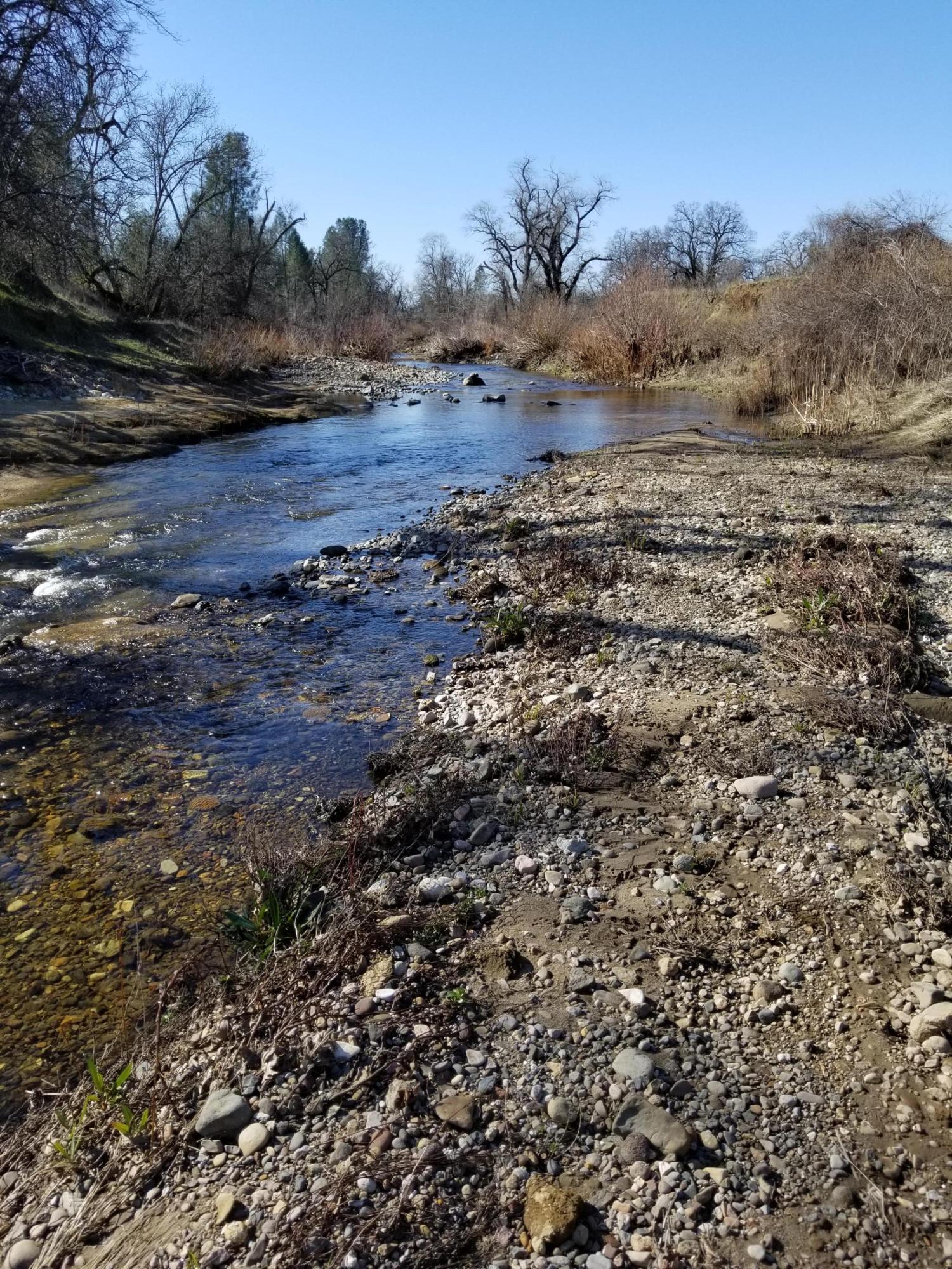 8.83 Acres Oak Run Road Oak Run, CA 96069 - Photo 6 of 19 20200218_111112