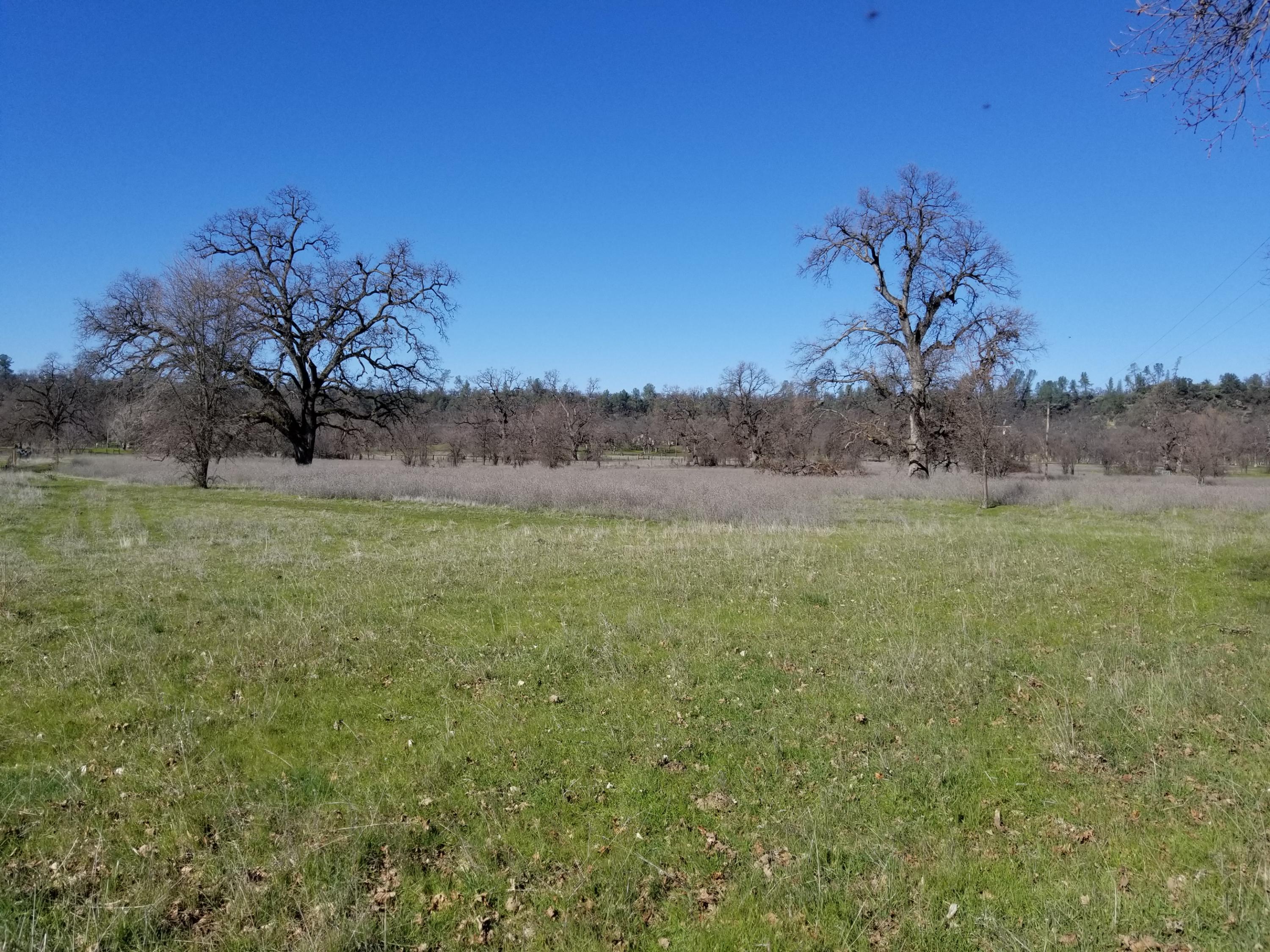 8.83 Acres Oak Run Road Oak Run, CA 96069 - Photo 10 of 19 20200218_111613