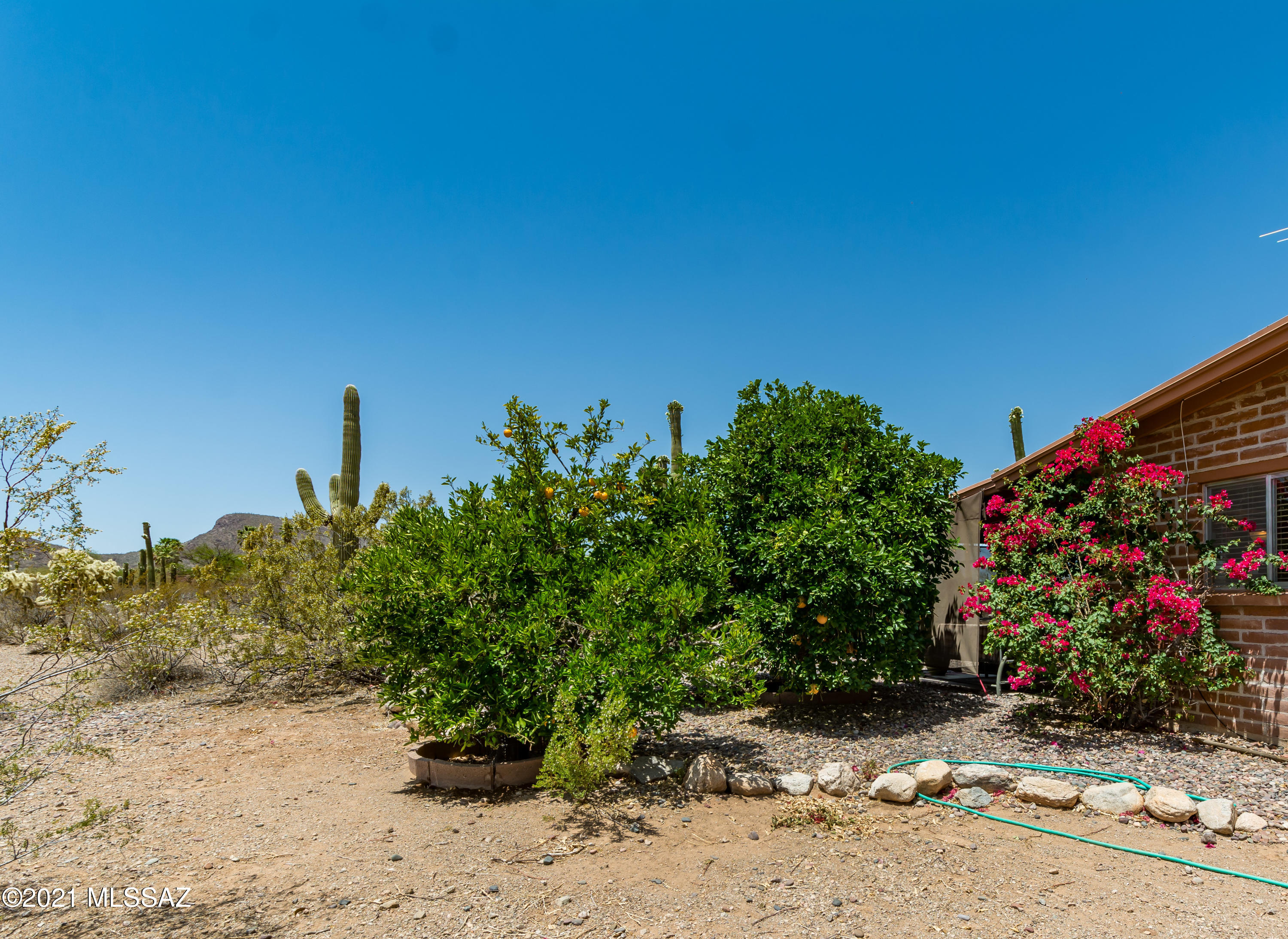 7301 North Cortaro Road Tucson, AZ 85743 - Photo 24 of 45 Gallery Image 24