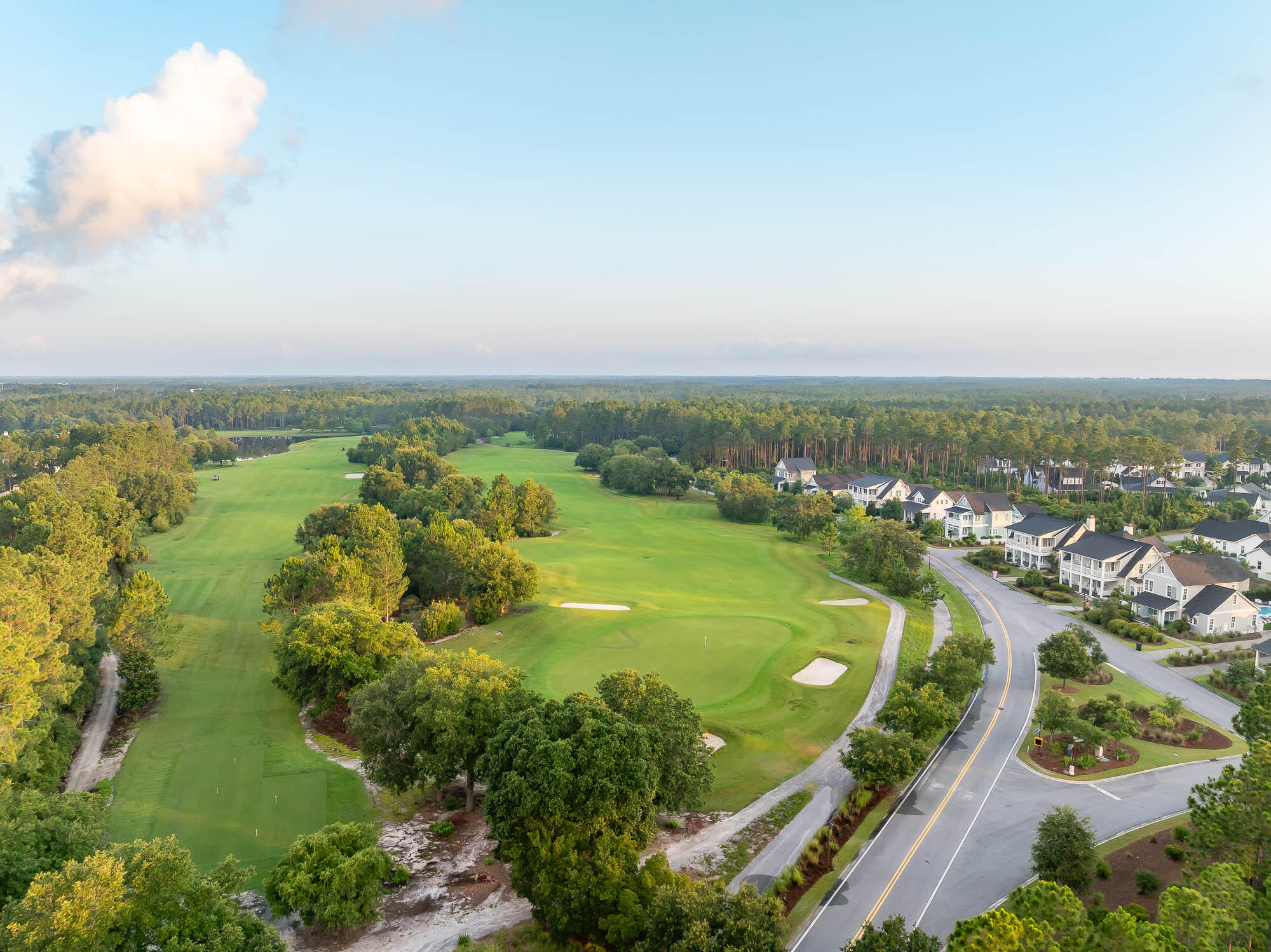 35 Golden Bell Ct Inlet Beach, Unit 35A Inlet Beach, FL 32461 - Photo 34 of 47 an aerial view of residential houses with outdoor space and trees
