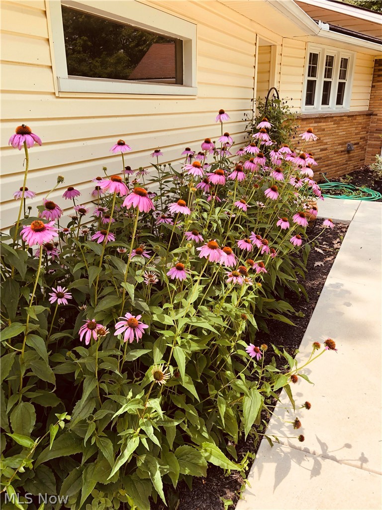 5214 South Madison Road Madison, OH 44057 - Photo 11 of 35