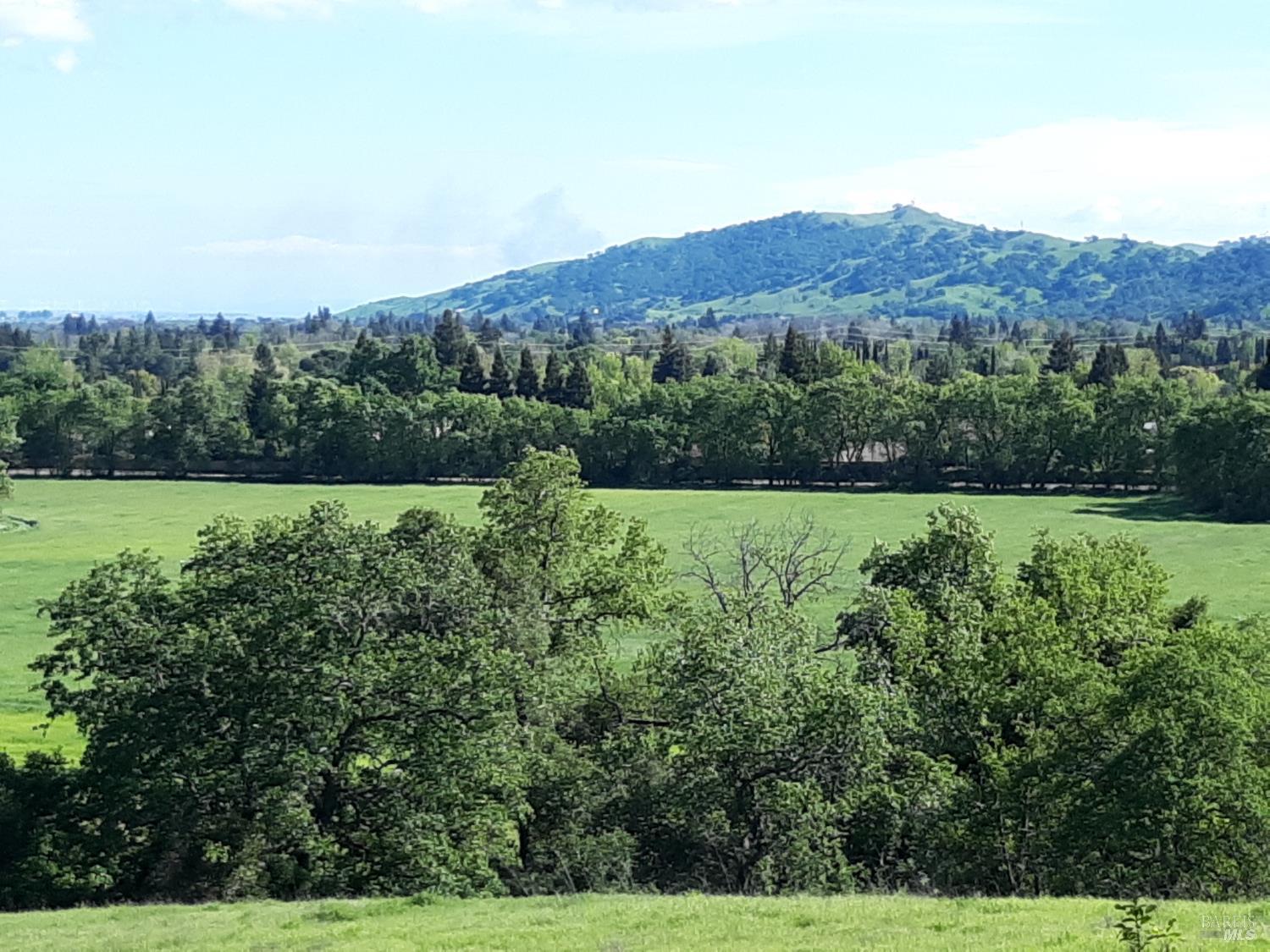 0 Vaca Valley Road Vacaville, CA 95688 - Photo 3 of 28 a view of a field with a tree in the background