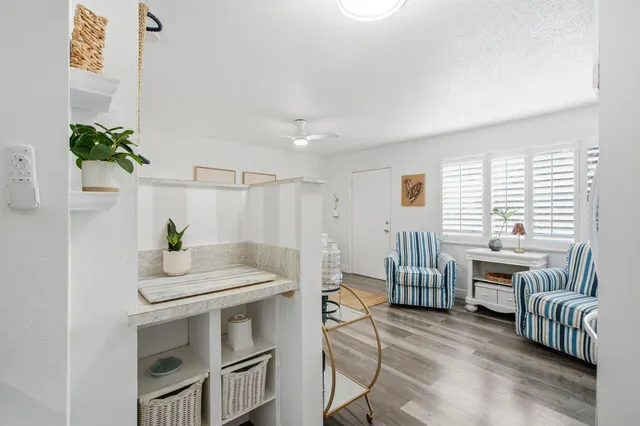 a living room with furniture and a potted plant