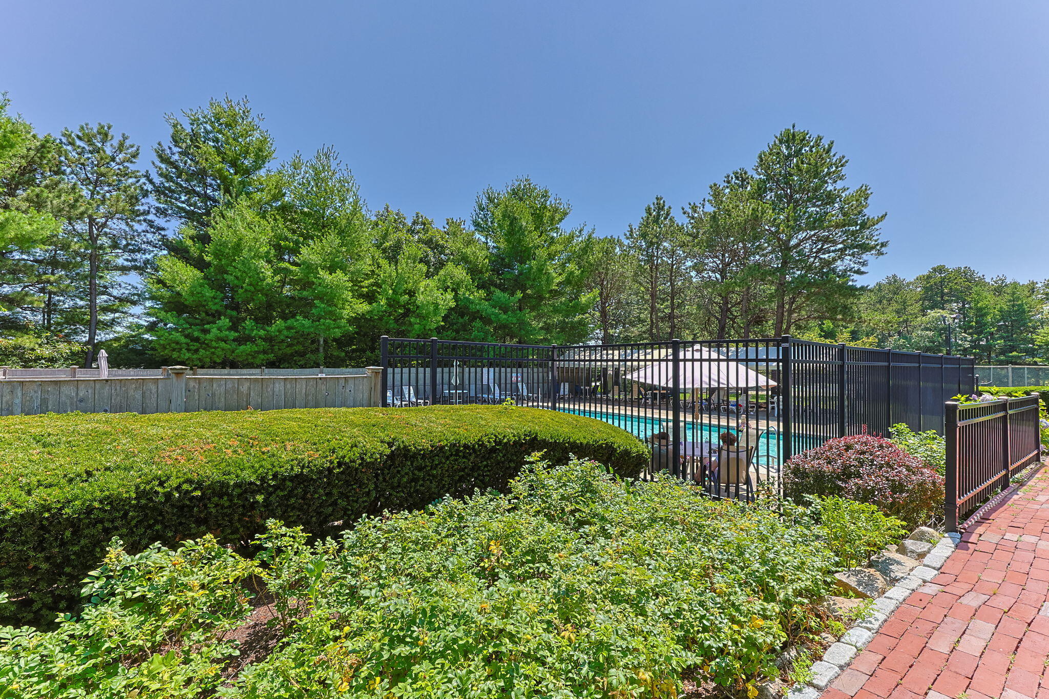 49 Shellback Way, Unit G Mashpee, MA 02649 - Photo 38 of 48 a view of a backyard with a garden