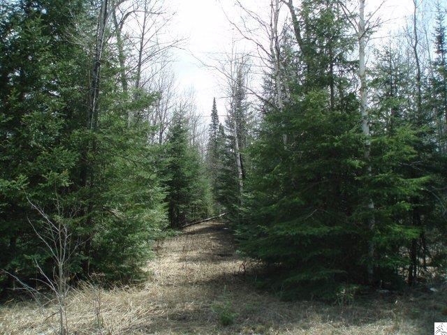2-xxx Lismore Road Duluth, MN 55804 - Photo 1 of 1 Gallery Image 1