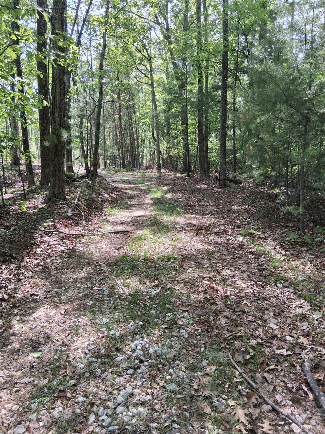 0 Robinson Gap Road Monroe, VA 24574 - Photo 22 of 44 Gallery Image 22