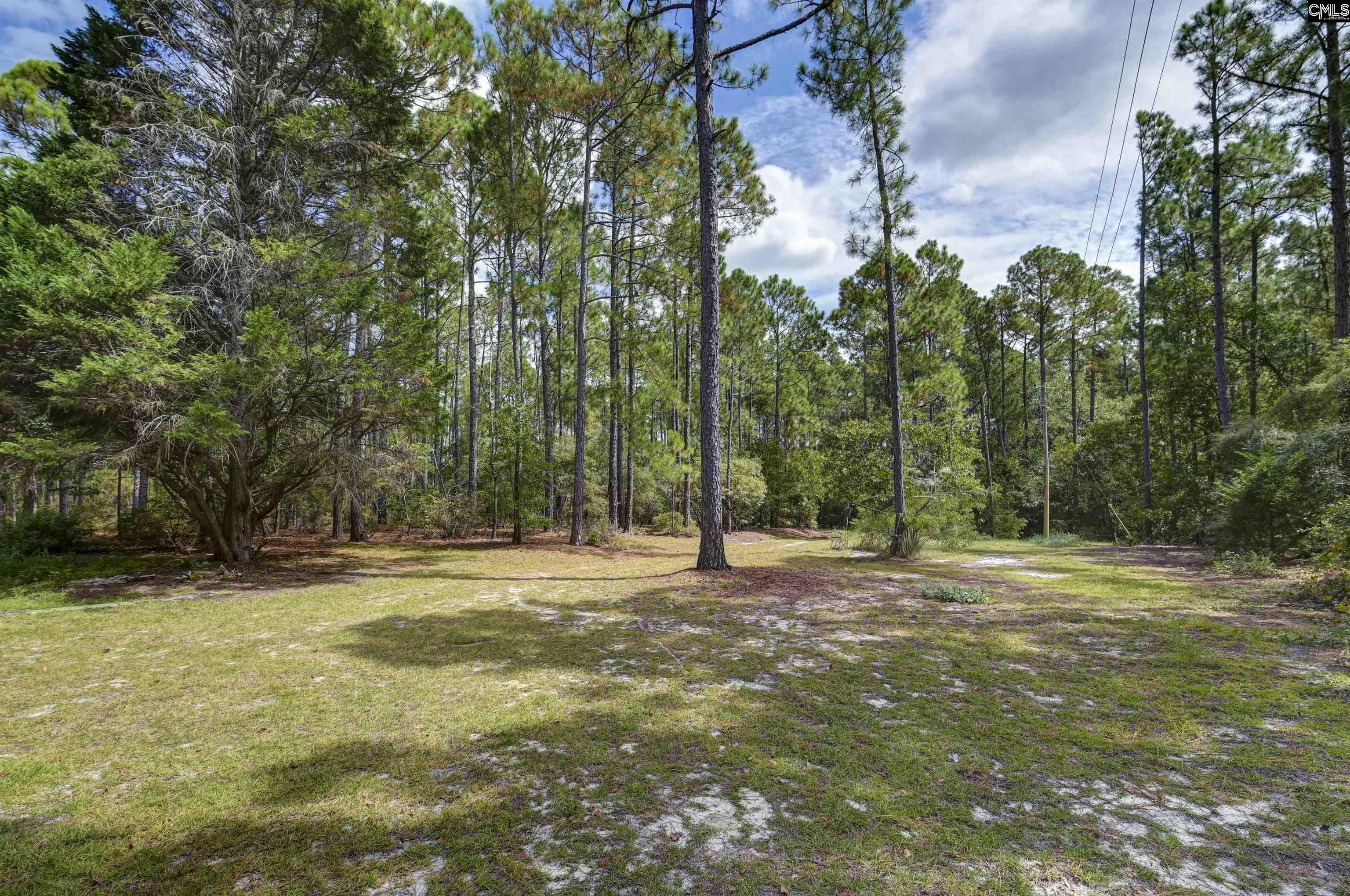 257 Rimrock Road Gilbert, SC 29054 - Photo 37 of 46