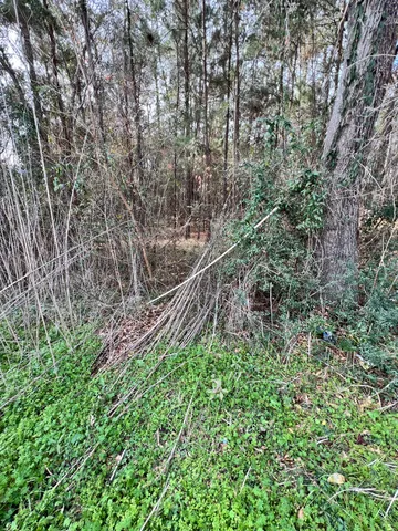 $35,000 | 310 Westchase Street, Montgomery, TX 77316