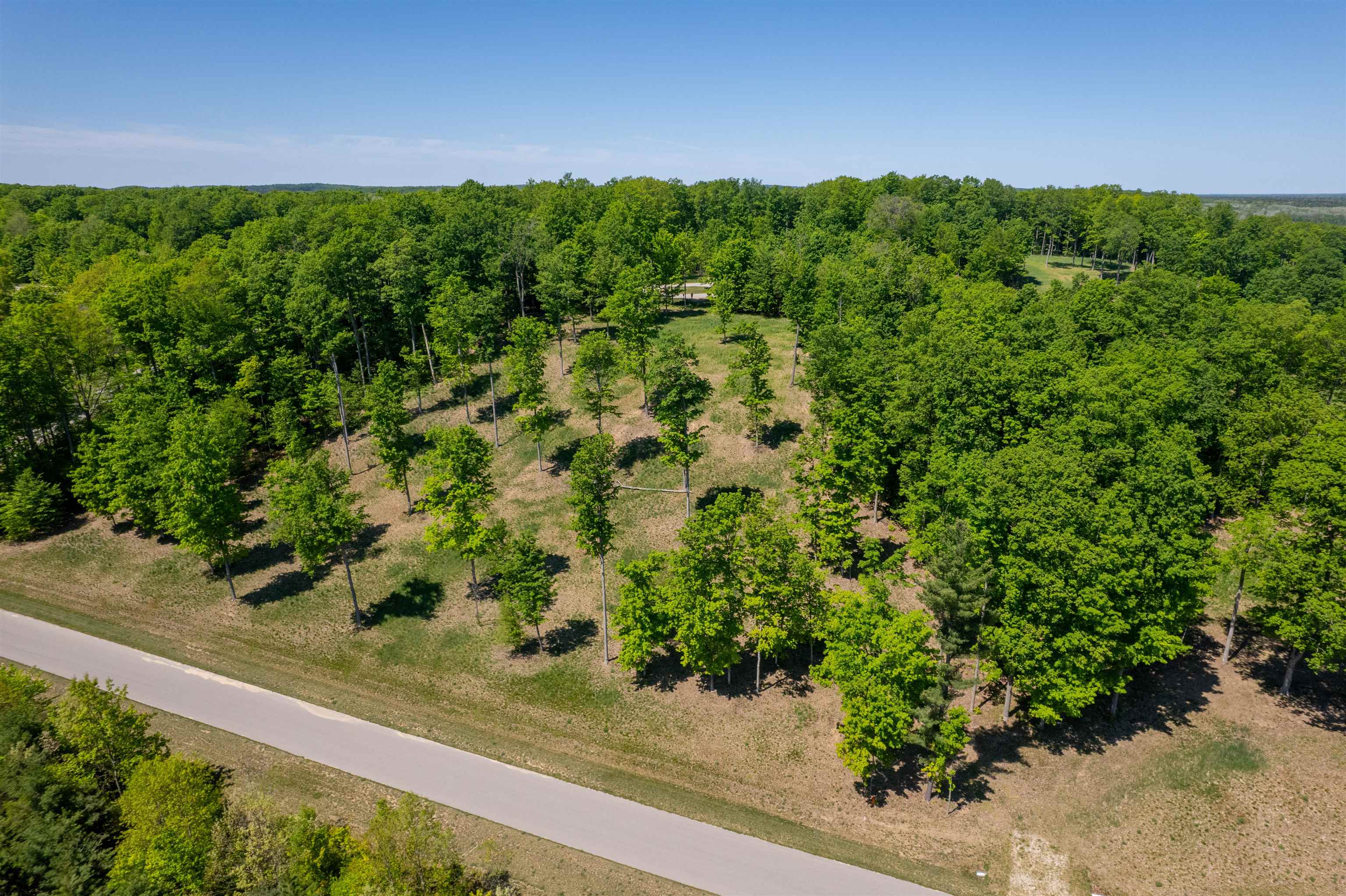 5844 Elkhorn Road, Unit LOT: 73 Kingsley, MI 49649 - Photo 9 of 12