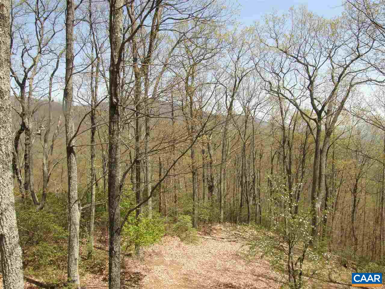 5273 Cub Creek Road Roseland, VA 22967 - Photo 24 of 31