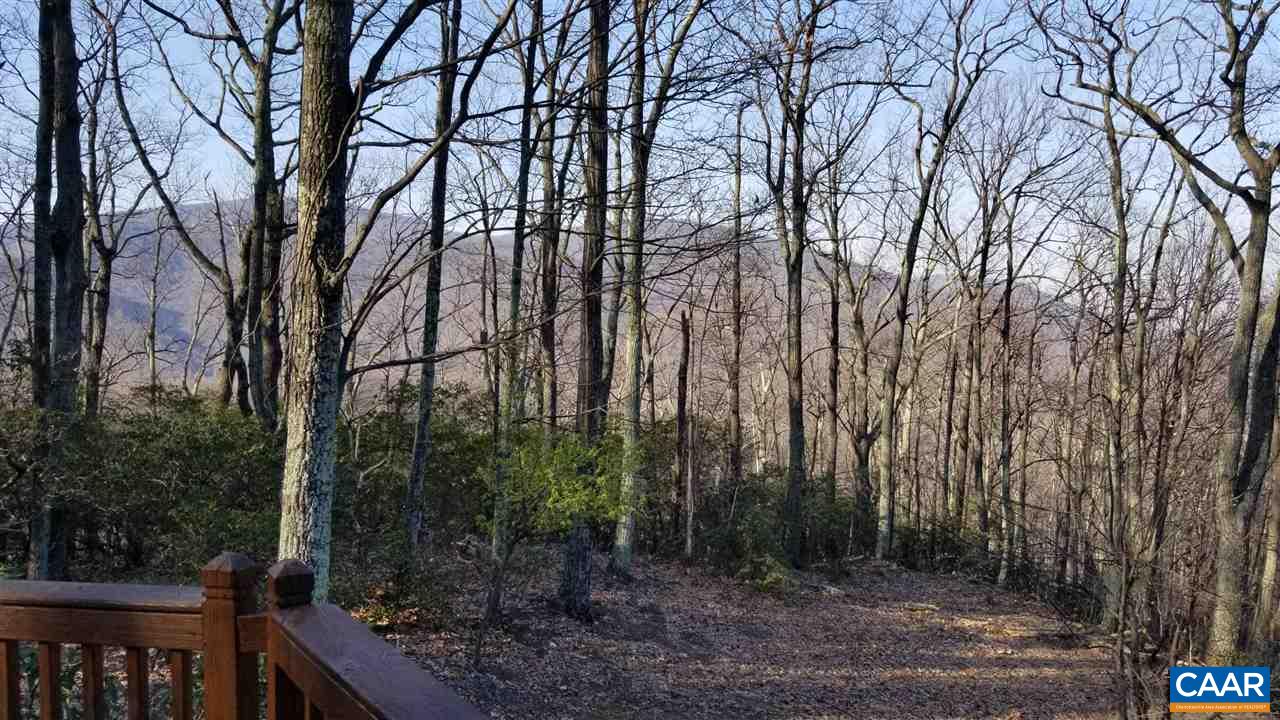 5273 Cub Creek Road Roseland, VA 22967 - Photo 26 of 31 a backyard of a house with lots of green space