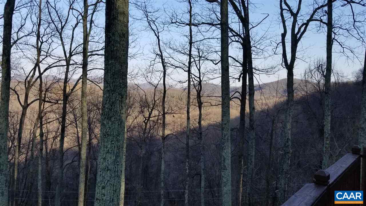 5273 Cub Creek Road Roseland, VA 22967 - Photo 27 of 31 a view of outdoor space