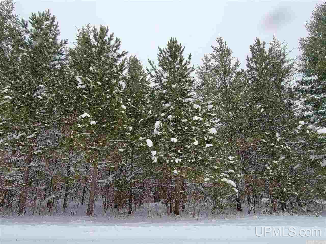 Tbd Obenhoff Road Atlantic Mine, MI 49905 - Photo 1 of 6 Gallery Image 1