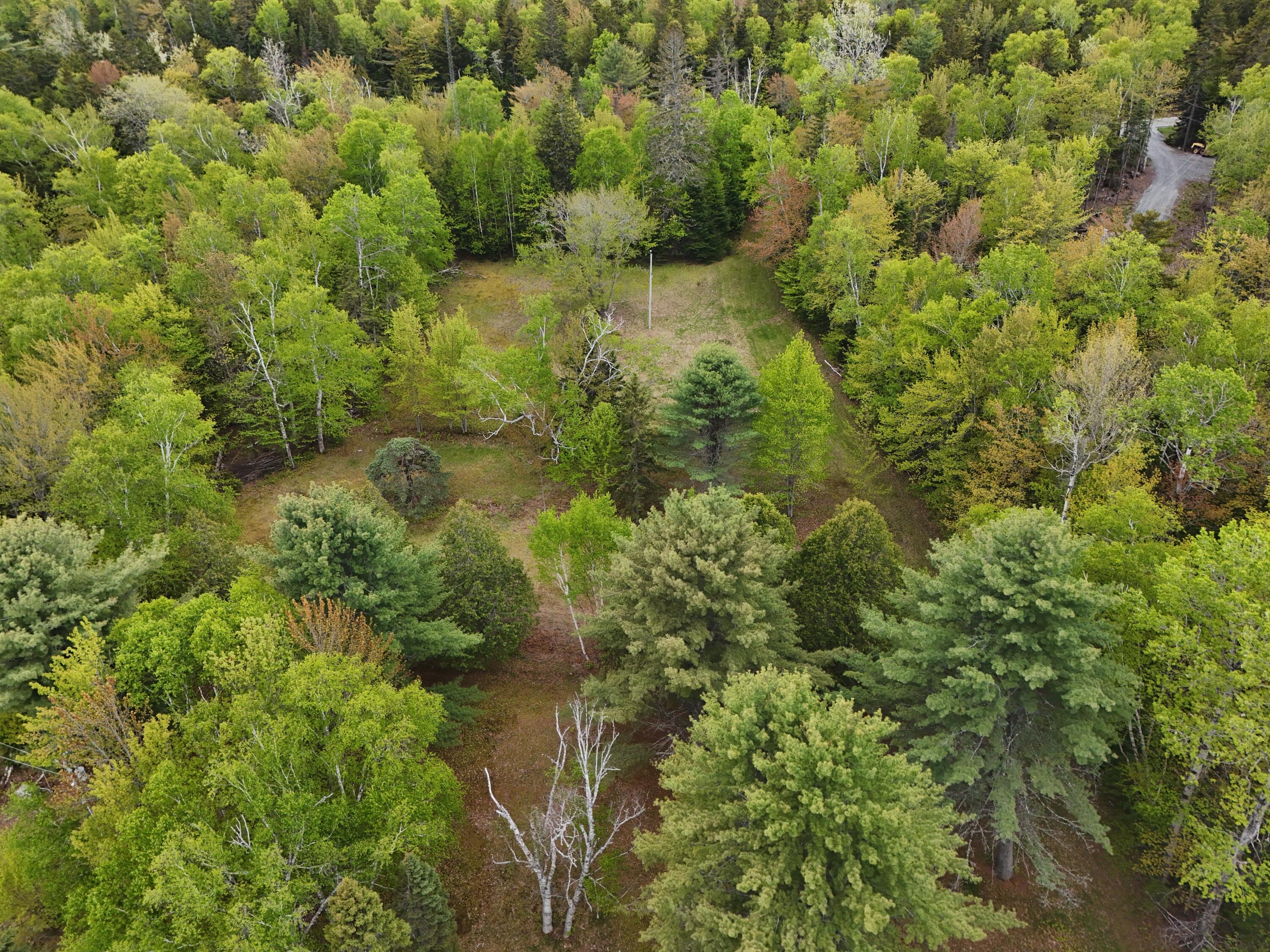 Lot 1 Hardscabble Road Rockwood, ME 04478 - Photo 10 of 16 DJI_20260601132608_0154_D