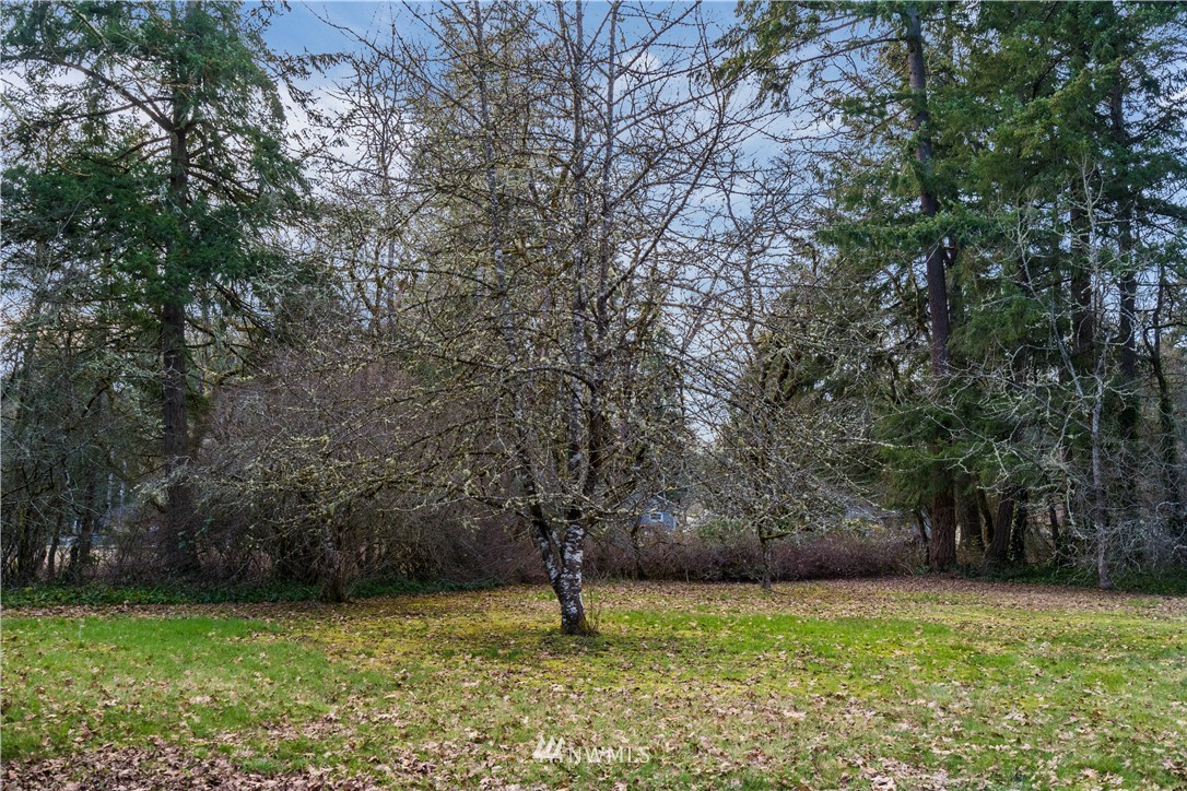 1614 Creso Road South Spanaway, WA 98387 - Photo 17 of 37