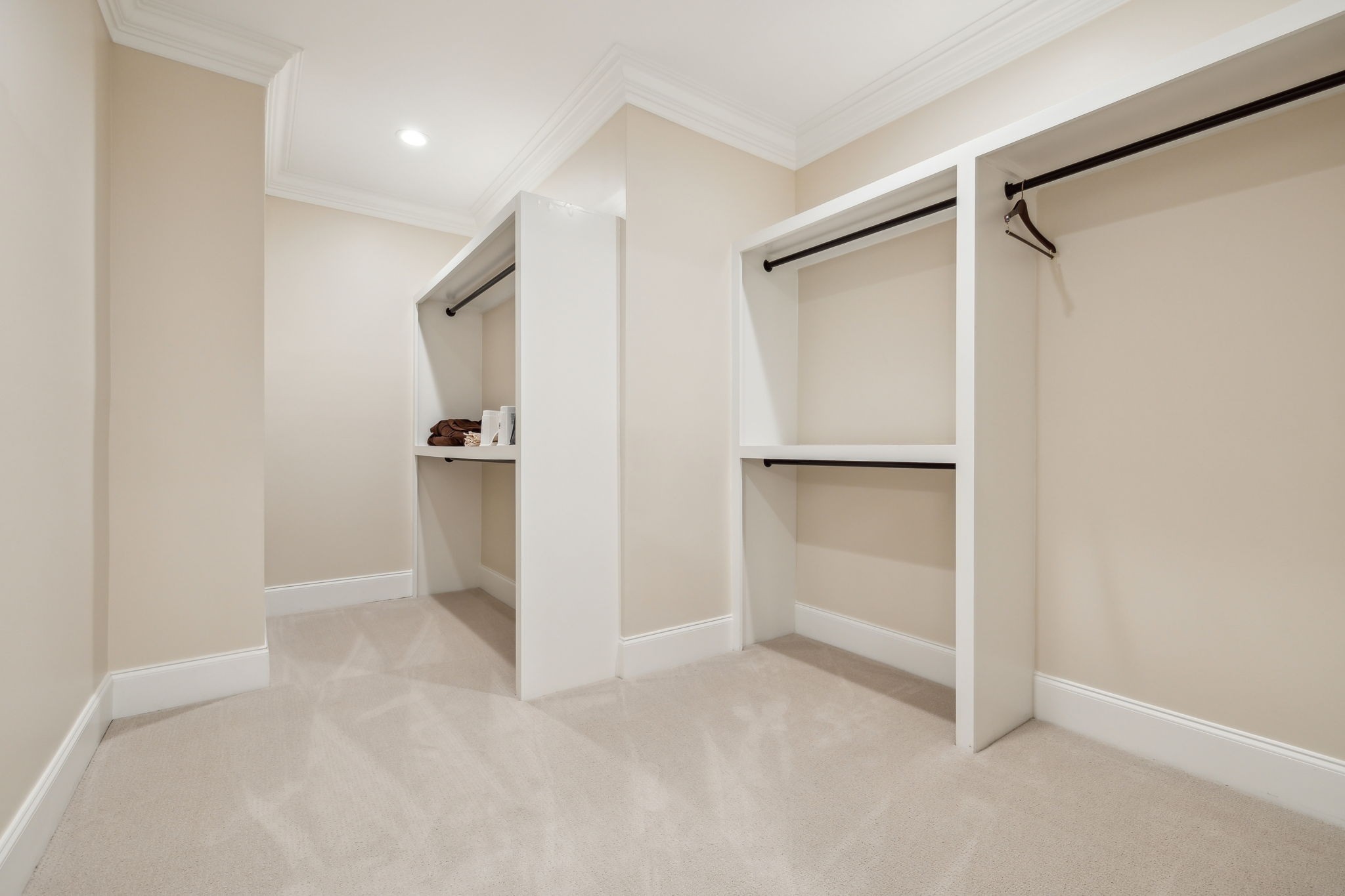 424 Wild Elm Street Franklin, TN 37064 - Photo 65 of 100