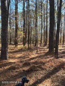 $125,000 | 8 Pitch Kettle Court, Belhaven, NC 27810