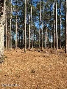 $125,000 | 8 Pitch Kettle Court, Belhaven, NC 27810