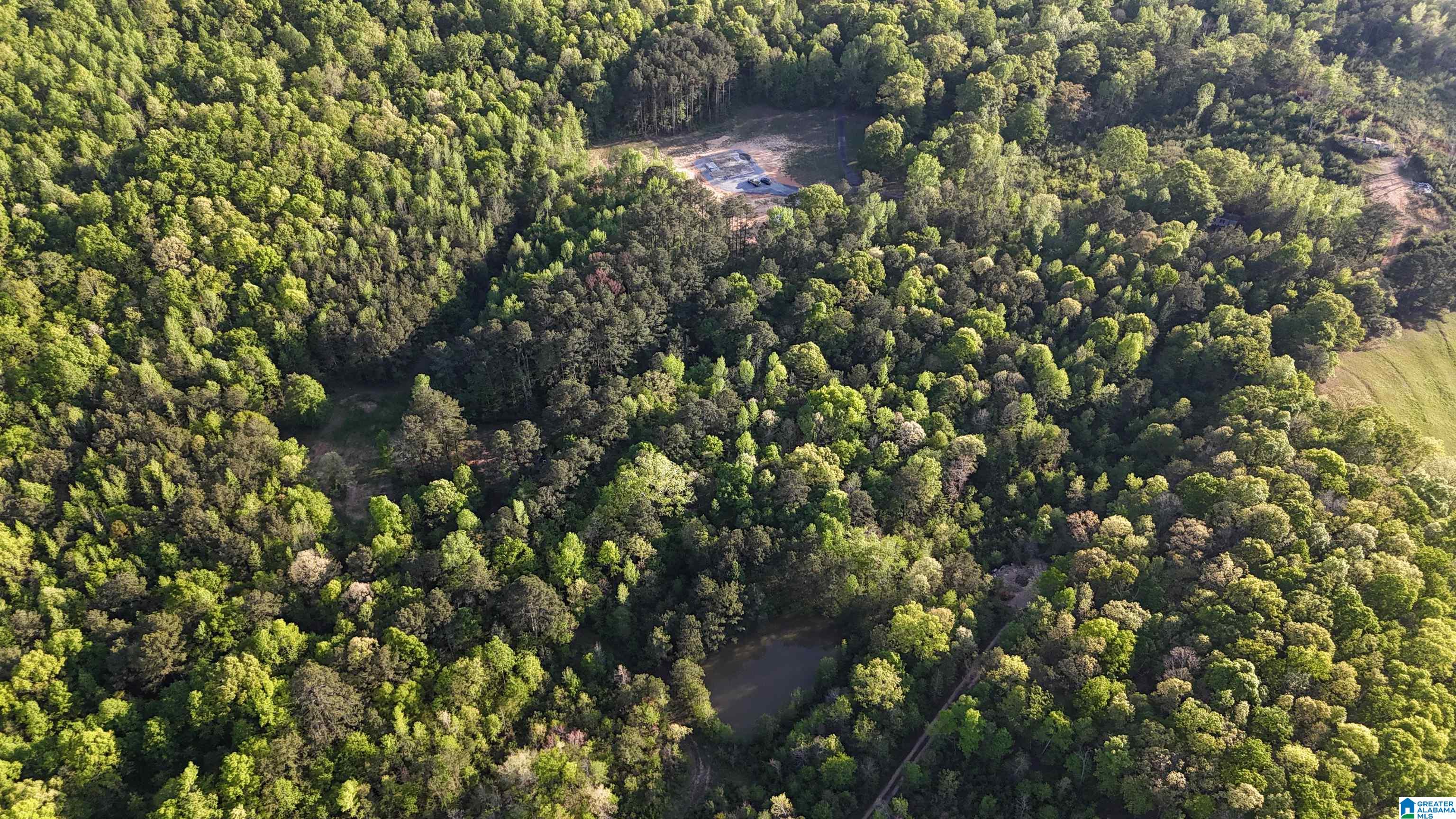 3410 Highway 132 Oneonta, AL 35121 - Photo 46 of 46