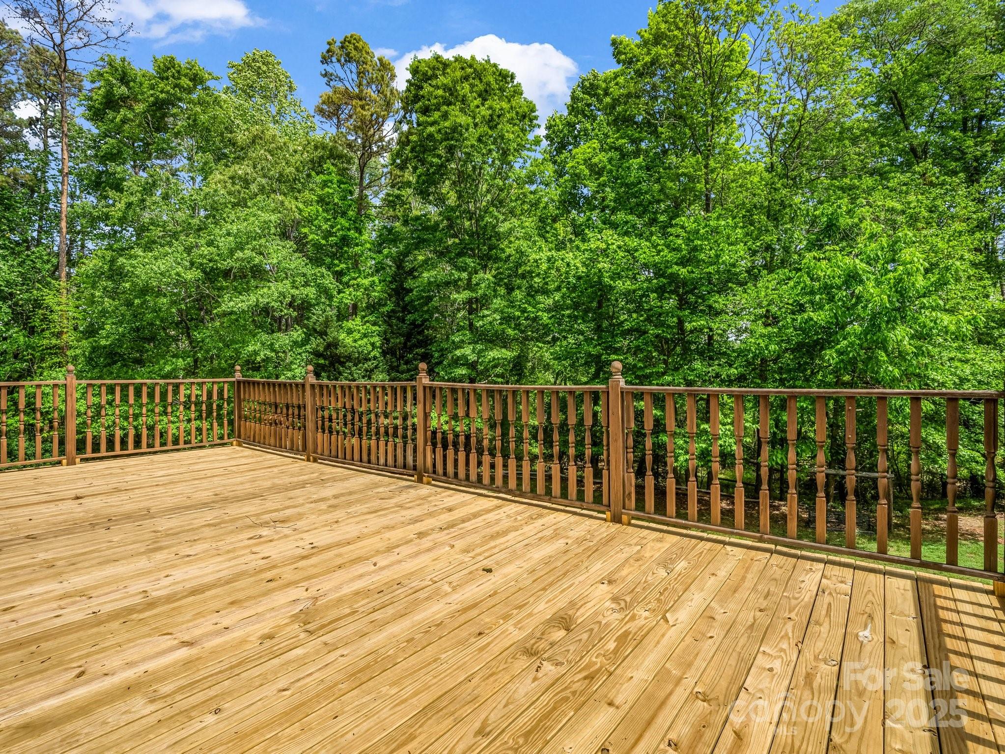 163 Summit Lane Rutherfordton, NC 28139 - Photo 21 of 44