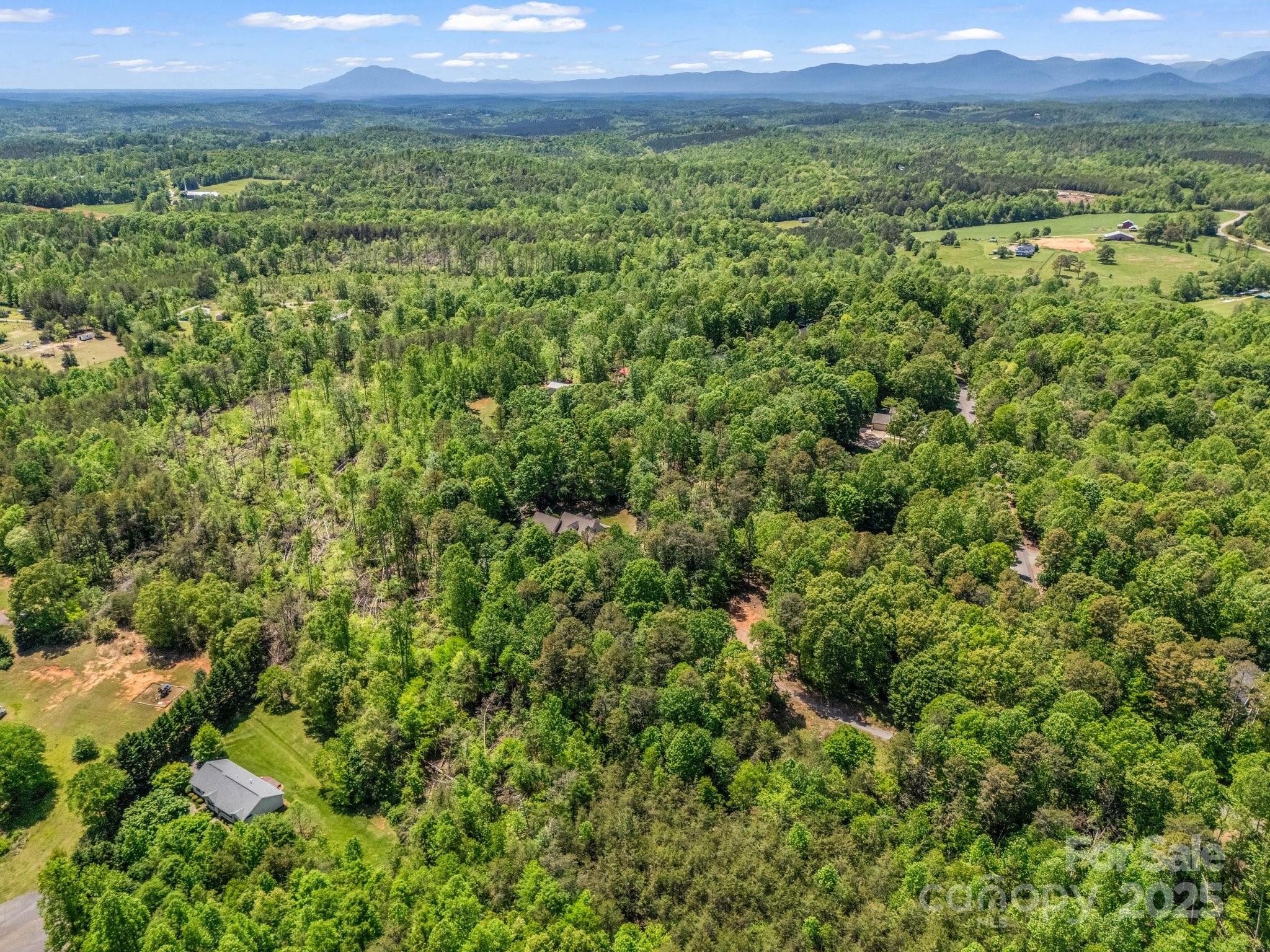 163 Summit Lane Rutherfordton, NC 28139 - Photo 41 of 44