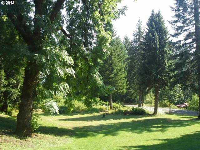 101 Roley Road Stevenson, WA 98648 - Photo 13 of 13