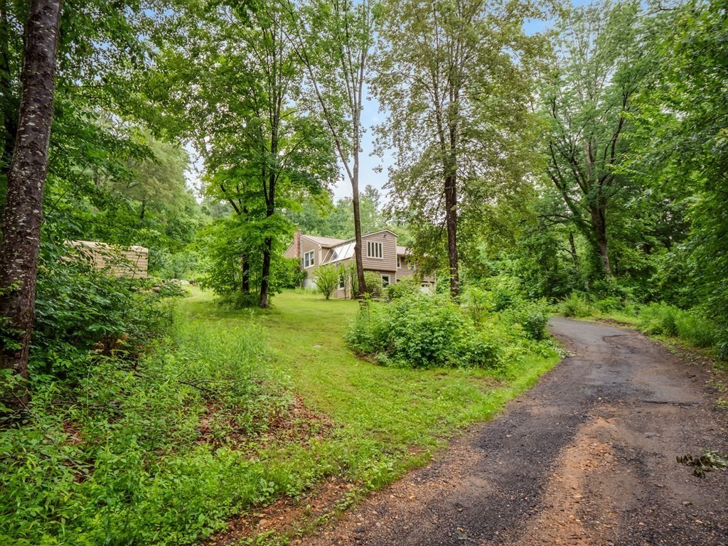 1850 North Brookfield Road Oakham, MA 01068 - Photo 3 of 42 a big yard with lots of green space and plants