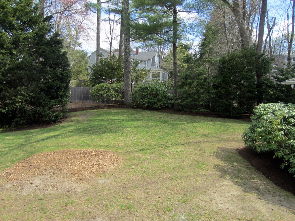 12 Arlington Road Wellesley, MA 02481 - Photo 26 of 26 a view of a trees with a yard