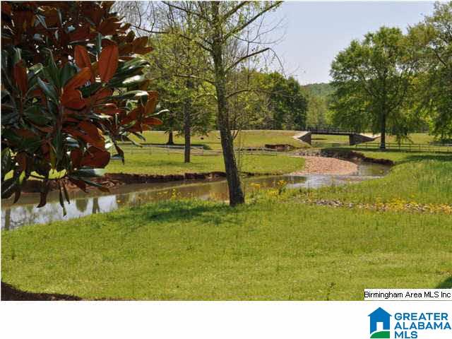 170 Legacy Ridge West, Unit 75 Springville, AL 35146 - Photo 9 of 11