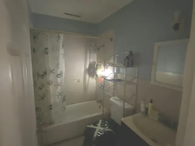 a bathroom with a shower and toilet
