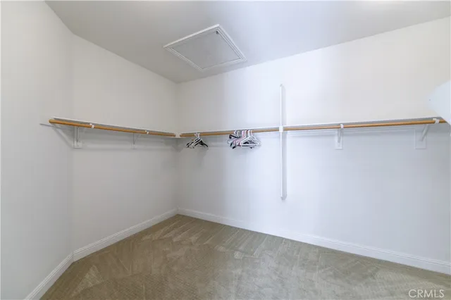 a view of a garden with plants and large trees