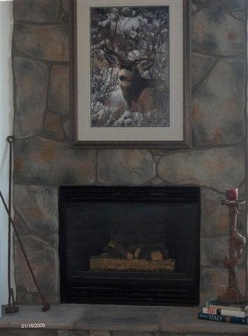 1101 South Elk Ridge Point Payson, AZ 85541 - Photo 3 of 9 One of three fireplaces in home