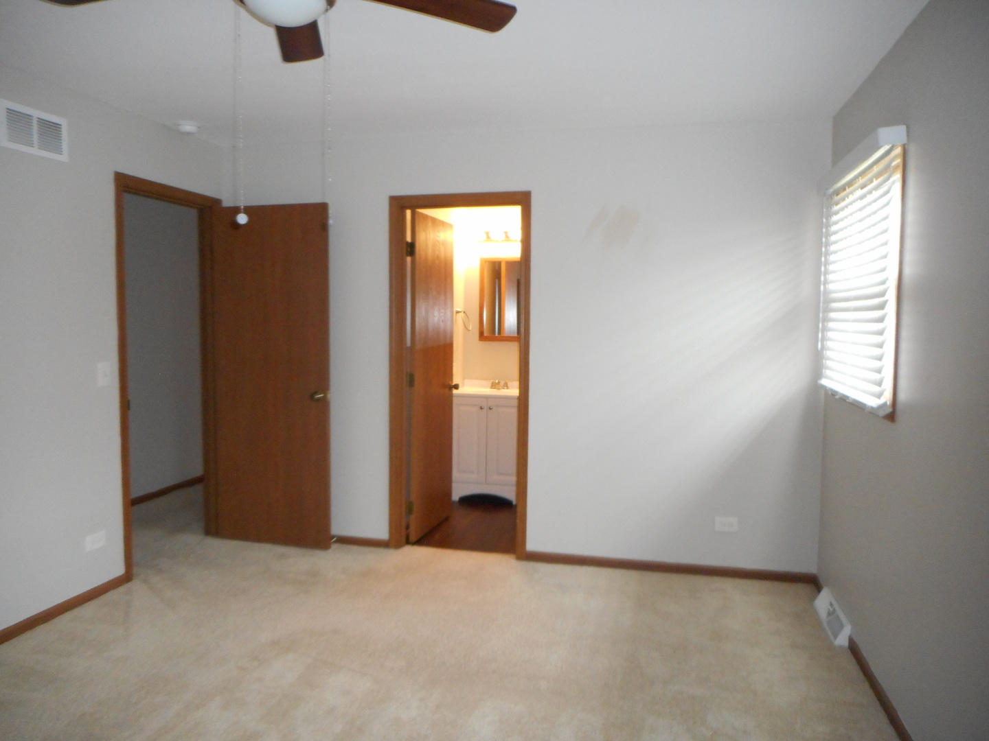 532 Shenandoah Trail Elgin, IL 60123 - Photo 14 of 20 an empty room with windows and closet