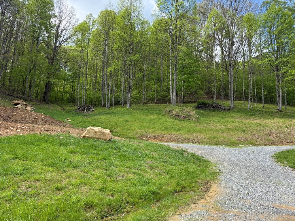 1454 Saxon Bolt Road Saxon, WV 25180 - Photo 23 of 26 Gallery Image 23