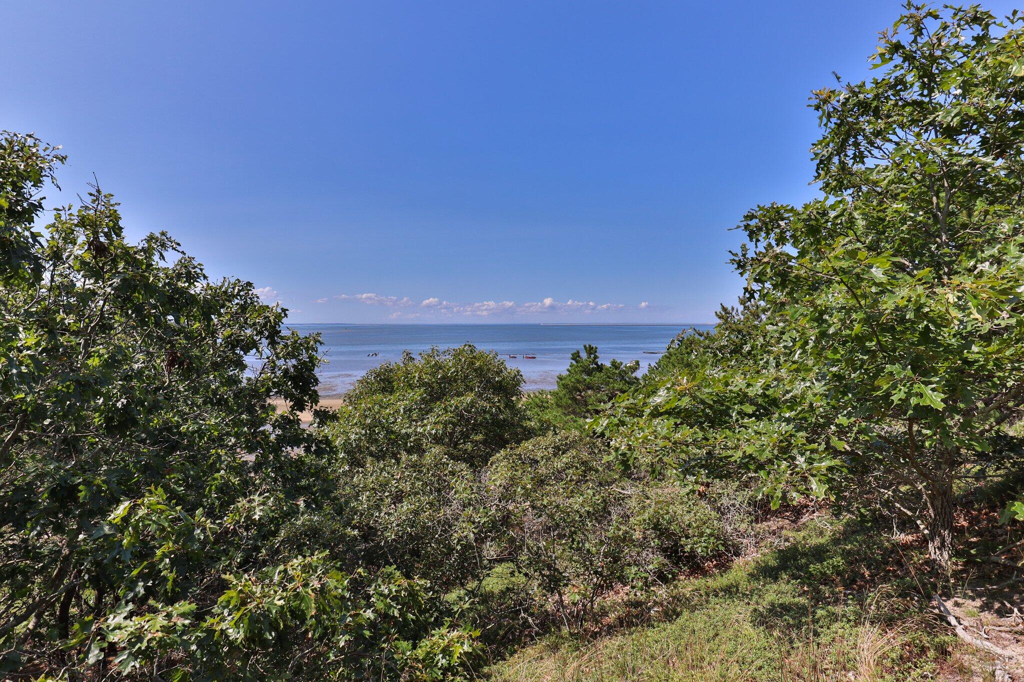 410 King Phillip Road Wellfleet, MA 02667 - Photo 45 of 53 66-web-or-mls-410-king-phillip-rd